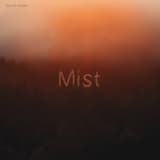 Mist