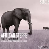 African Steppe (Michael & Levan and Stiven Rivic remix)