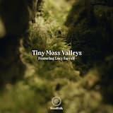Tiny Moss Valleys