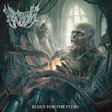 Breastfed With Mendacity