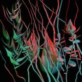 This Looks Just Like It, the Answer to My Prayers - I Thought My Life Was Over Until Two Years Later I Arrived