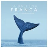 Quand les étoiles illuminent l’écume des vagues