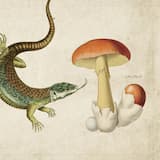 ヘンて言葉、キライ