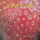 Well, What Do You Think of That Then, Paddy?