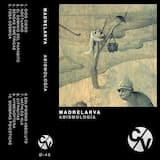 El Dominio Del Parásito