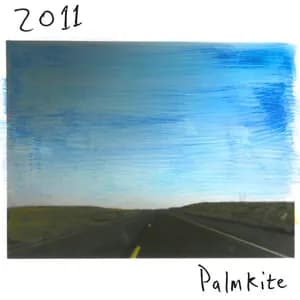 Palmkite avatar