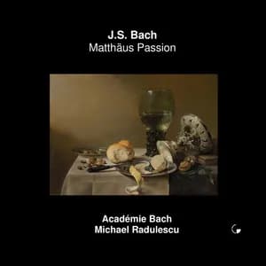 Michael Radulescu avatar