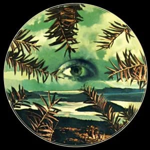 Lilacs & Champagne avatar