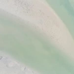 Emanuel Fremont avatar