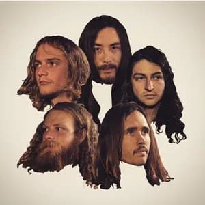 Max Pain and the Groovies avatar