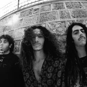 Love Your Witch avatar