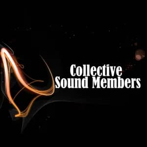 Collective Sound Members avatar