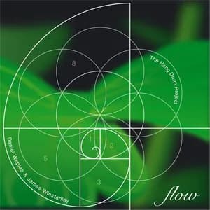 The Hang Drum Project avatar