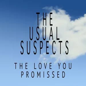Usual Suspects avatar
