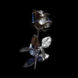 Shiny Black Anthem avatar