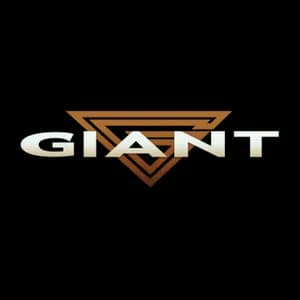 Giant avatar