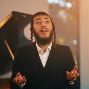 Shmuel Dovid Landau avatar