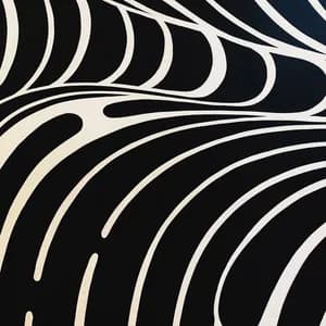 Cecil Andrews avatar