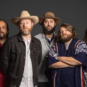 Great Peacock avatar