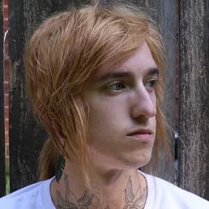 Sounds Like Harmony avatar