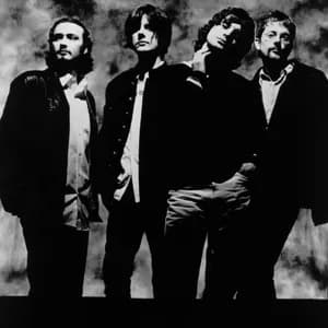 The Seahorses avatar