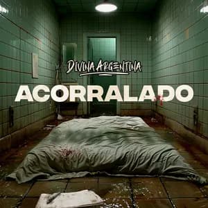 Divina Argentina avatar