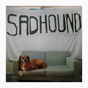 Sadhound avatar
