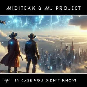 Miditekk avatar