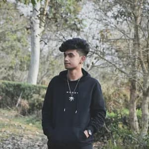 Pr4ntik avatar