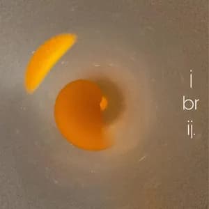 j brij. avatar