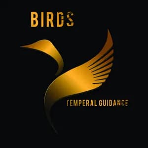 Temperal Guidance avatar