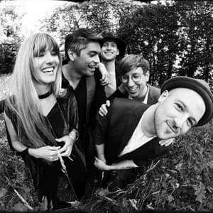 Night Flowers avatar