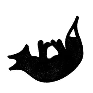 Foxfall avatar