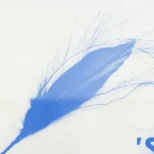 Blue Feather avatar