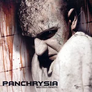 Panchrysia avatar