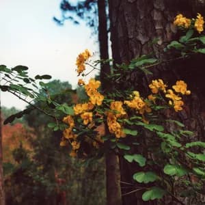 Other Nothing avatar