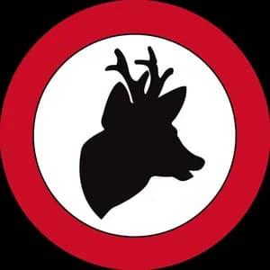Biribirlocke avatar