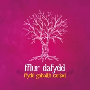 Fflur Dafydd avatar
