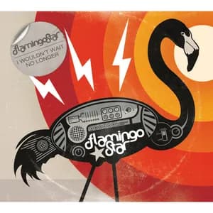 Flamingo Star avatar
