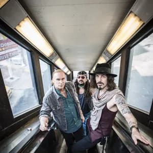 The Winery Dogs avatar