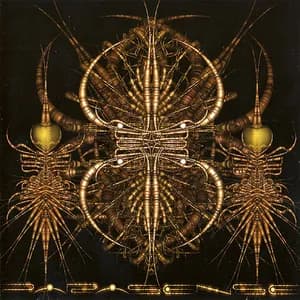 Parasense avatar