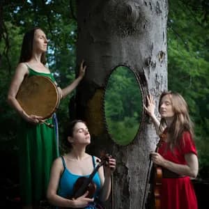 Sutari avatar