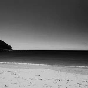 The Surfwolves avatar