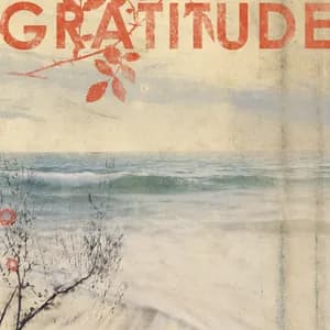Gratitude avatar