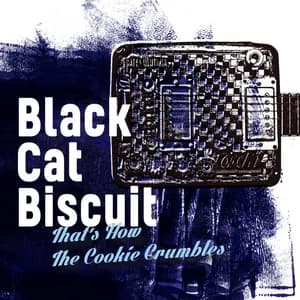 Black Cat Biscuit avatar