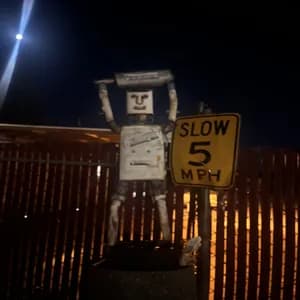 monkey experiment avatar