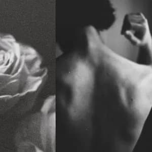 Denise Santoz avatar