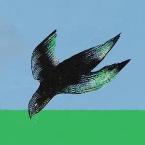 Duncan Fellows avatar