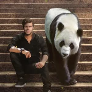 Viva La Panda avatar