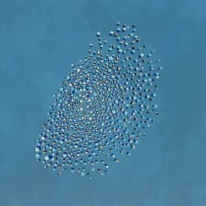 The Expansions avatar